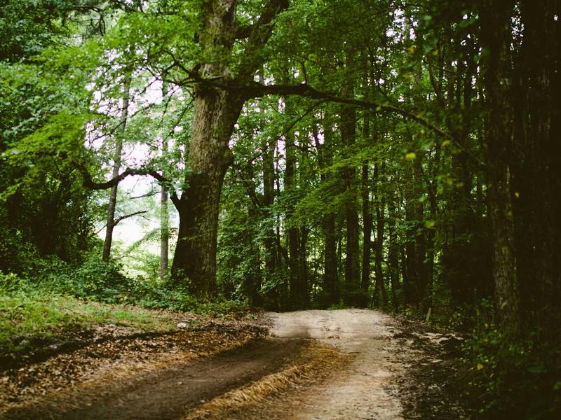 feedback screenshot 6